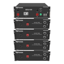 Блок батарей Dyness HV51100-4 20.48kW 204.8V 100Ah LiFePO4 BDU100 RACK - Фото 1
