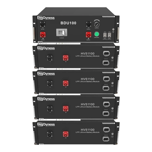 Блок батарей Dyness HV51100-4 20.48kW 204.8V 100Ah LiFePO4 BDU100 RACK - Фото 1