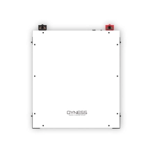 Акумуляторна батарея Dyness A48100 48V 100Ah 4.8kWh LiFePO4 - Фото 1