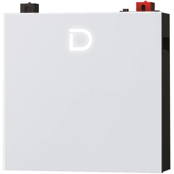 Акумуляторна батарея Dyness DL5.0C Pro 51.2V 100Ah 5.12kWh LiFePo4 (DL5.0C Pro) - Фото 1